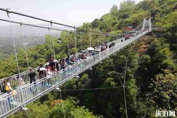 宜昌九凤谷门票价格多少