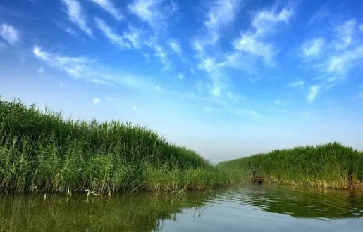 保定周边一日游不爬山景点推荐