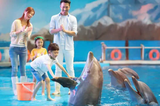 青岛旅游哪里好玩，国内最大海洋馆青岛极地海洋世界必去