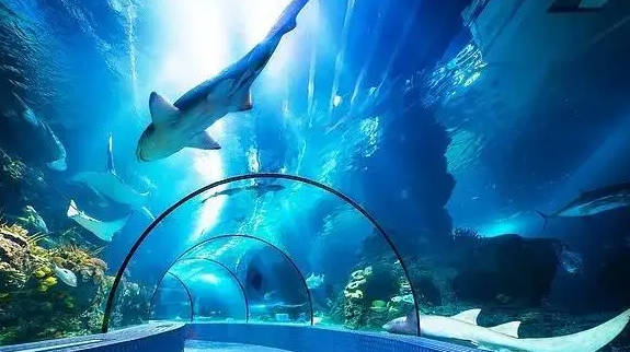 上海適合小孩玩的地方，上海小孩游玩好去處