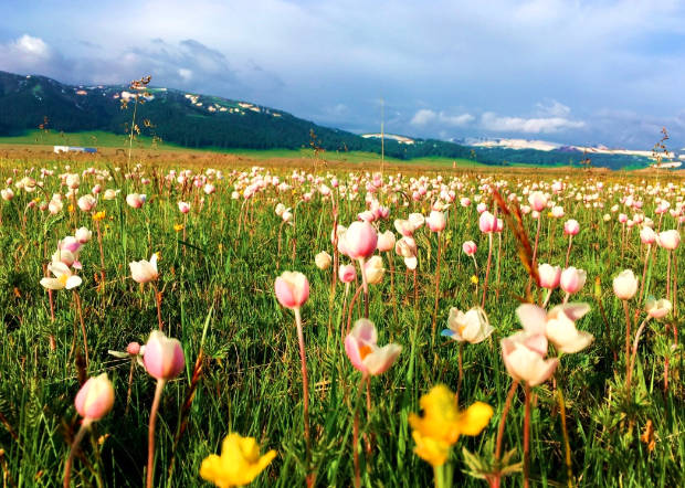 夏天最适合旅游的地方，这七个地方让你清凉一夏天