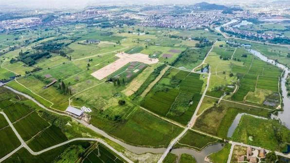 良渚古城遗址位于浙江省哪里，位于浙江省杭州市余杭区瓶窑镇内( 中国世遗总数世界第一)