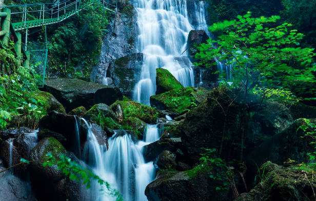 安吉旅游必去的景点，排名前五的景点你去过吗？