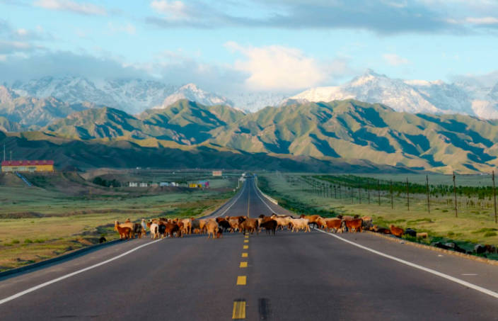 独库公路自驾游7天攻略,乌鲁木齐出发结束