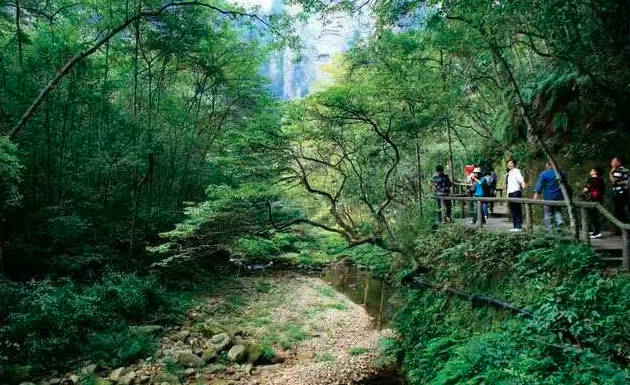 张家界几月份去玩是最佳时间，4月-10月为旺季，春、夏、秋、冬景区韵味不同