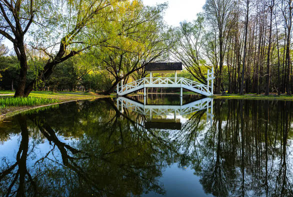 上海10個自助野餐燒烤勝地，上海燒烤露營地點推薦