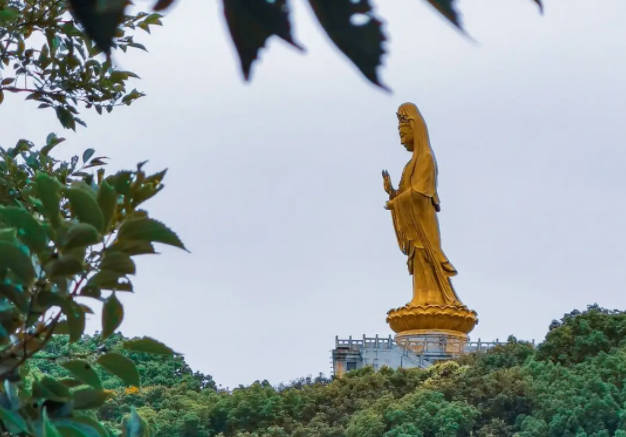 普陀山门票多少钱一张2022，免费、优惠政策（附船票价格）