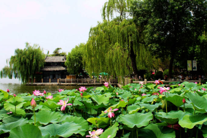 济南旅游攻略必去景点,济南旅游打卡十大景点