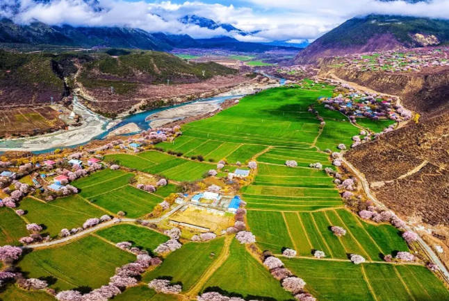 暑假去西藏旅游合适吗,温度和植被都合适(附进藏建议)