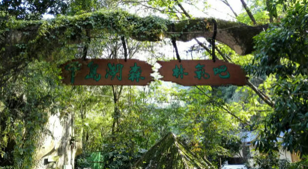 千岛湖旅游必去的景点,淳安县打卡必逛景点推荐