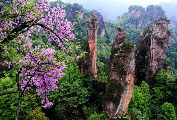 几月份去张家界玩好，七八月份去比较好（一年四季都有美景）
