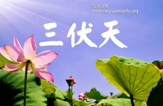 三伏天从什么时候开始至结束，7月16日开始8月24日结束（共40天）