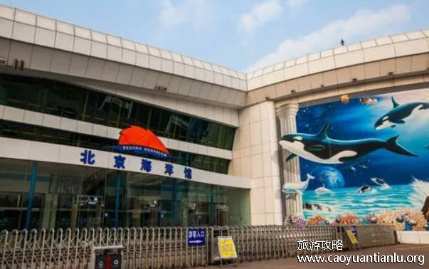 北京海洋馆营业时间及表演时间2022(附七大主题项目)