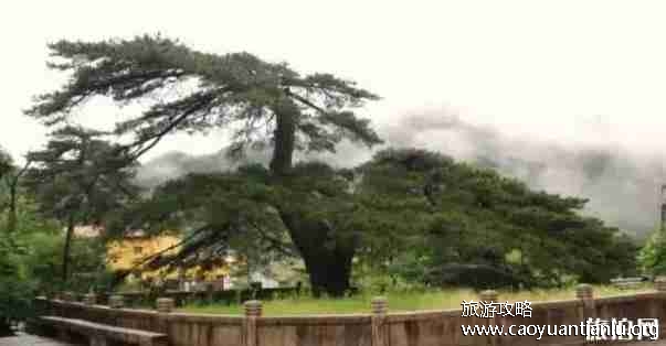 九華山旅游攻略大全