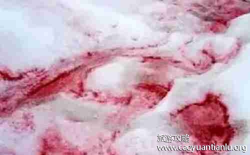 西藏秘密有哪些