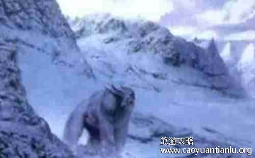 西藏秘密有哪些