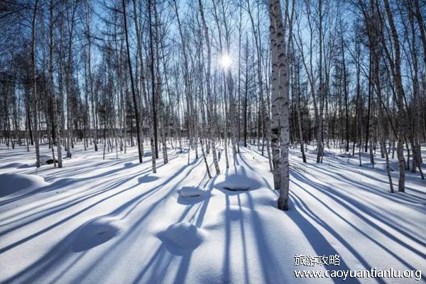 漠河旅游几月份去最好 漠河看极光最佳时间 漠河旅游几月份去最好 漠河看极光最佳时间