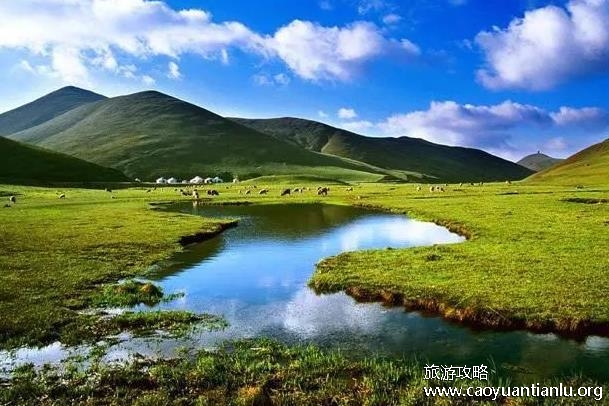 曲靖好玩的地方有哪些 曲靖好玩的地方有哪些