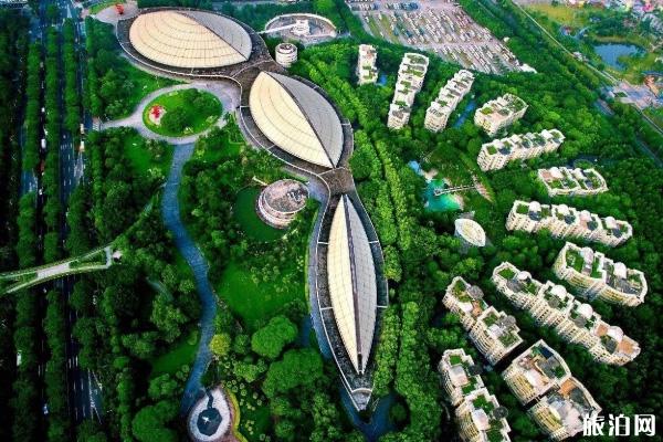 8月8日广州免费开放体育场馆时间及预约指南 8月8日广州免费开放体育场馆时间及预约指南