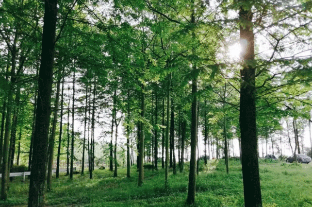 德阳周边露营地点推荐-交通指南