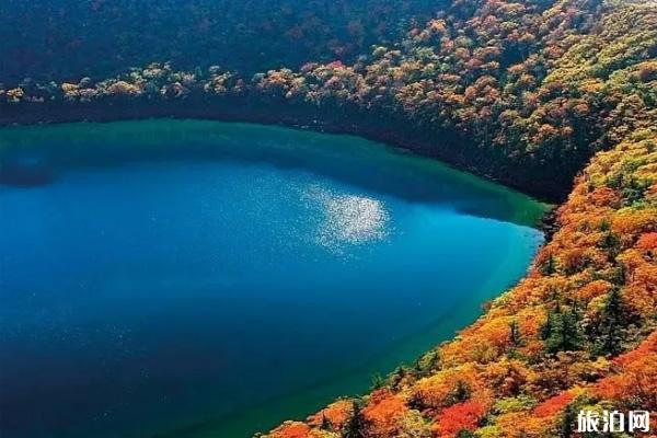 日本秋天赏枫去哪-最佳观赏时间及地点