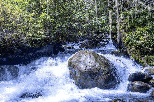邓生沟门票价格交通指南及景区介绍