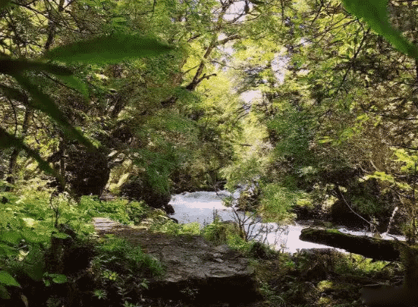 邓生沟门票价格交通指南及景区介绍 邓生沟门票价格交通指南及景区介绍