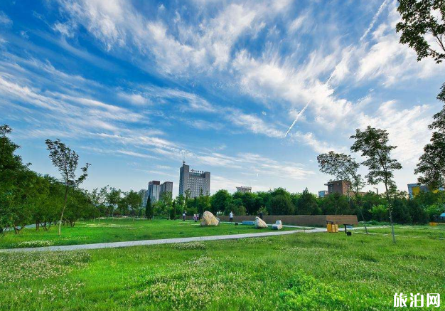 西安放风筝都去哪里-怎么去