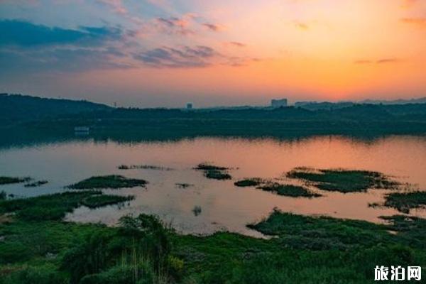 重庆广阳岛有哪些景点 朝天门至广阳岛观光航线票价及路段