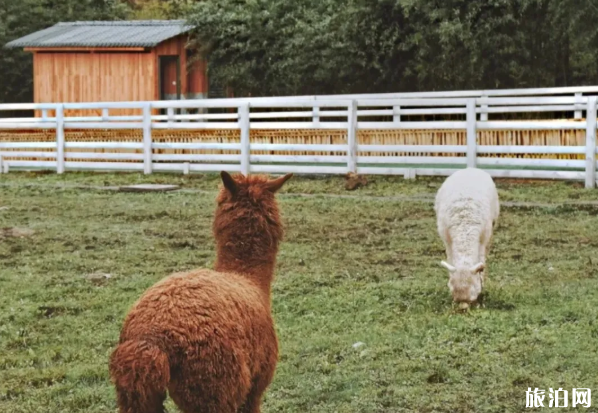 四川牧场有哪些 德阳牧场在哪里德阳周边好玩的地方