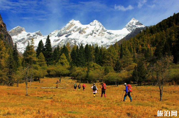 2020教师节成都哪些景区免费-周边优惠景区有哪些 2020教师节成都哪些景区免费-周边优惠景区有哪些