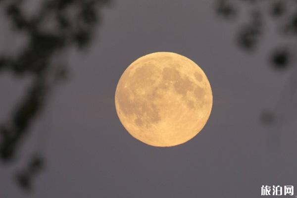 2020厦门中秋庙会时间地点及活动详情 2020厦门中秋庙会时间地点及活动详情