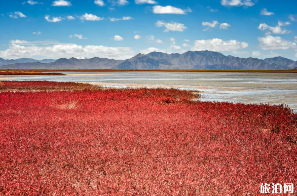 青海有哪些湖风景好-地址及门票价格