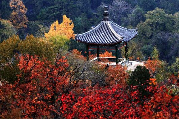 南京棲霞山游玩攻略 南京棲霞山游玩攻略