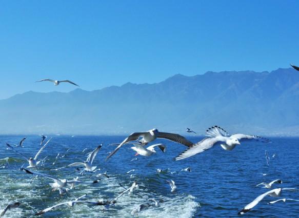 昆明旅游住宿哪里好 昆明旅游住宿哪里好