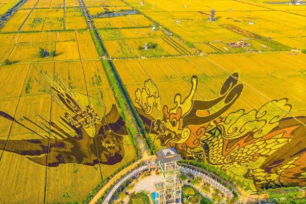 沈陽稻夢空間怎么樣 及我和我的家鄉拍攝地打卡景點