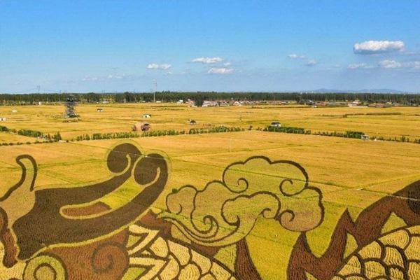 沈陽稻夢空間怎么樣 及我和我的家鄉(xiāng)拍攝地打卡景點