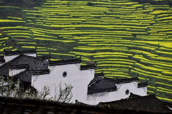 篁岭晒秋什么时候开始