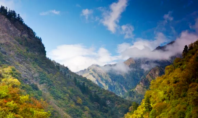 2020汶川红叶最佳观赏地点 汶川彩林有哪些