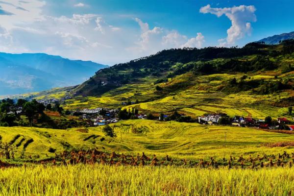 四川甘洛红叶哪里有红叶 甘洛县景点推荐