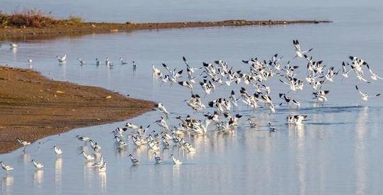 武汉拥有的五个湿地保护区