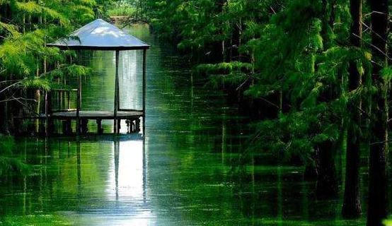 武汉涨渡湖关闭旅游线路谢绝游客