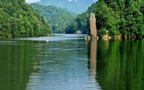 1534292162255801.jpg 1.jpg