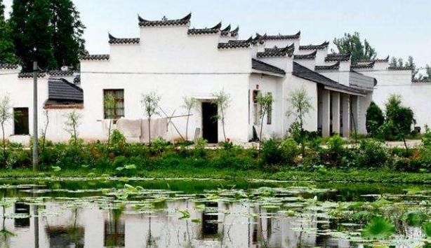 1534292210220519.jpg 9.jpg