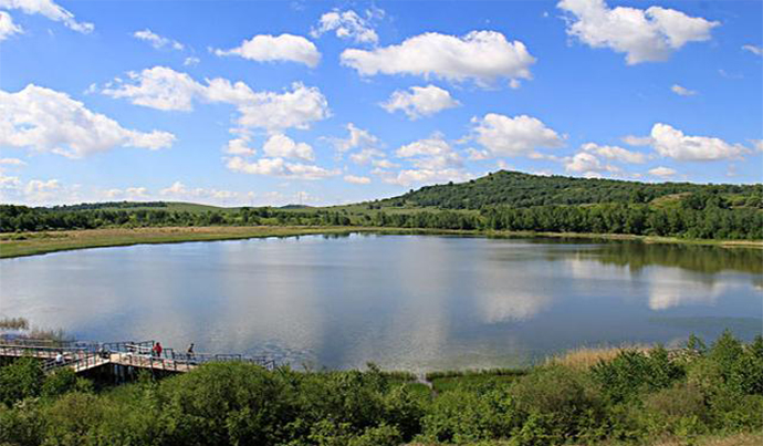 1534410260383329.jpg 2.jpg