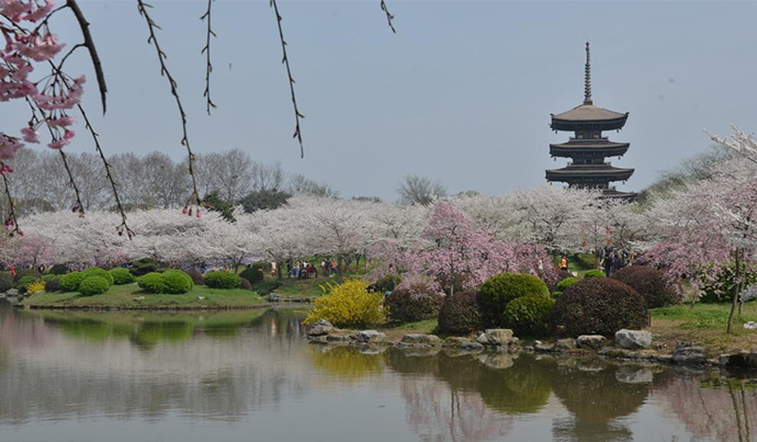 1534753441815547.jpg 6.jpg