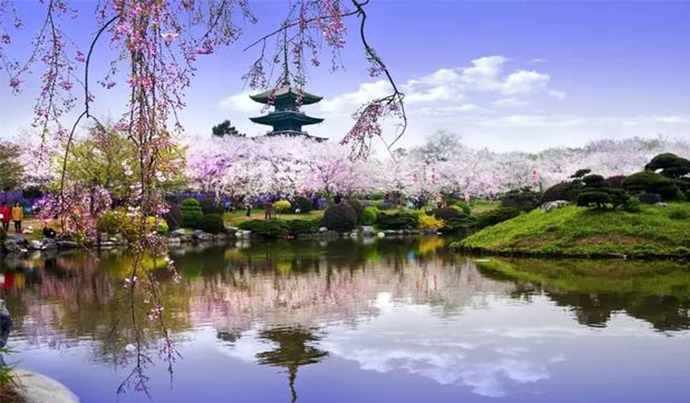 1534753595892410.jpg 55.jpg