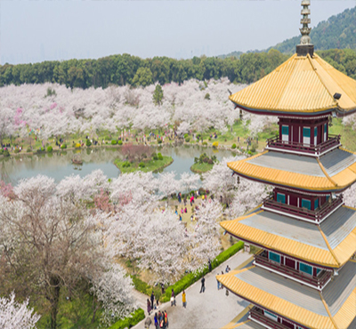 1535537832552350.jpg 11.jpg