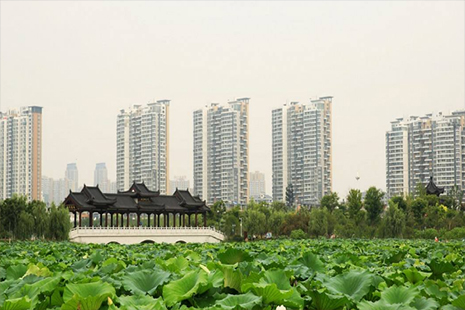 武汉地铁4号线附近的景点