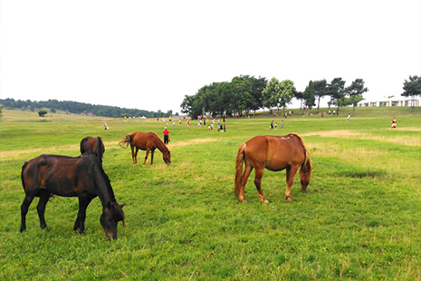 武汉木兰草原门票
